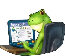 Froggy'Net Création de Blog